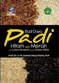 Image of The Power Of Concentration : Rahasia Terbesar Kekuatan Konsentrasi